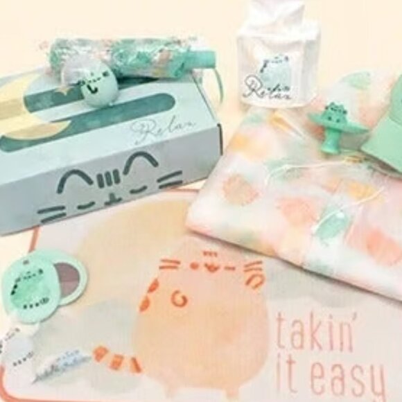 PUSHEEN BOX SPRING 2021 RAINY DAY - Picture 1 of 1